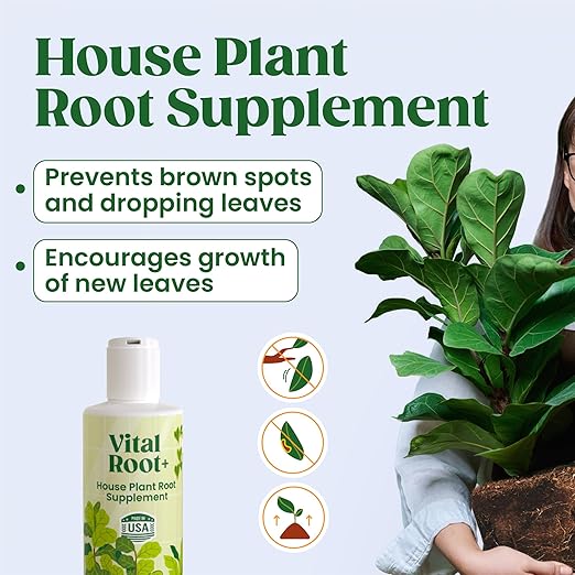 Root Rot Treatment & Plant Transplant Shock Recovery – Liquid Supplement for Indoor Plants, Fiddle Leaf Fig, Monstera & Pothos | Heals Roots, Prevents Brown Spots & Leaf Drop, 8 oz – Vital Root+