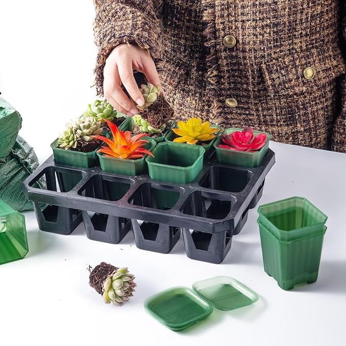 foxany 3 Inch Transparent Green Nursery Pots, 30 Pcs Thick Plastic Plant Pot, Square Flower Planting Pots Variety Pack, Seedling Planter Starter Pots with Saucers for Garden