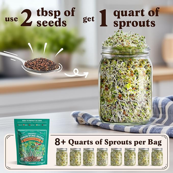 Seedboy Organic Non-GMO Sprouting Seeds, Superfood Blend - USA Grown Microgreens Mix with Broccoli, Radish, Pak Choi, Clover, Red Kale - 8 oz Makes 8 Quarts / 24 Servings (Superfood Blend)