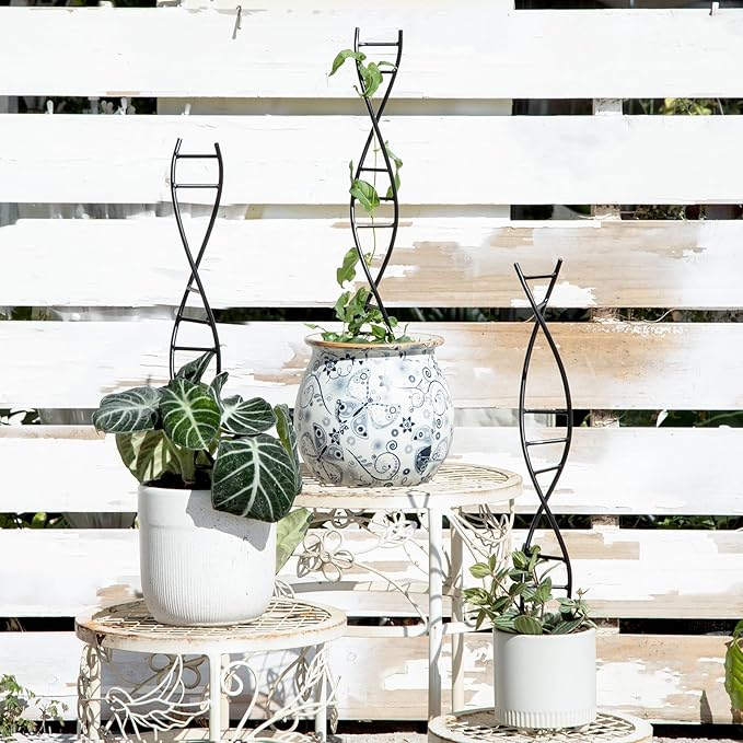 Yohsnor 3 Pcs Indoor Plant Trellis Set - Black Metal DNA Design for Potted Plants, Small Houseplants & Climbing Support - Modern Home Decor & Vertical Garden Display - Perfect for Indoor & Outdoor Use