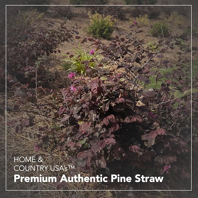 Premium 8 Pounds Pine Straw Mulch for Landscaping, Organic Material Made from Authentic Pine Needles Ideal for Gardening, Soil Moisture Retention.