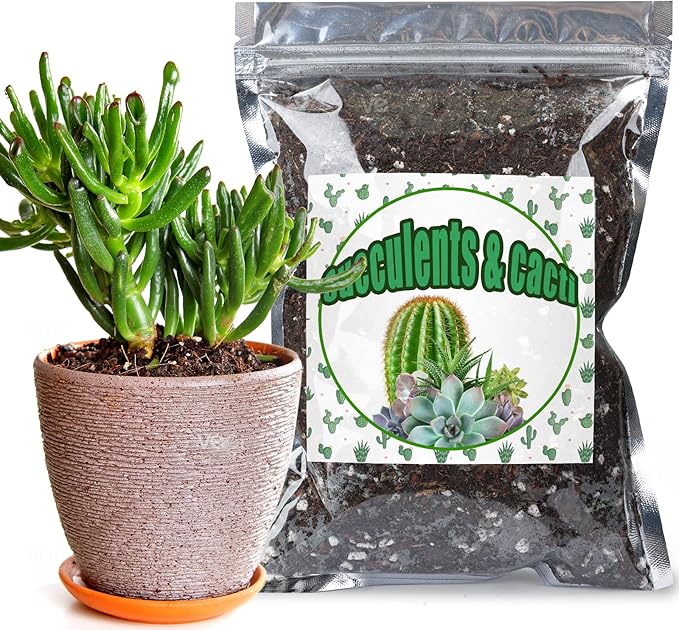 Cactus & Succulent Soil Mix 1qt, Chunky Well-Draining Soil for Indoor Plants - Spike & Bloom
