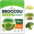Broccoli Sprouting & Microgreens Seeds x 1 lb. Organic, Non-GMO, Heirloom Sprout Seeds Kit, Bulk Resealable Container for Growing Superfood Sprouts and Microgreens