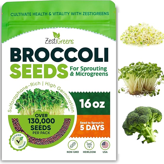 Broccoli Sprouting & Microgreens Seeds x 1 lb. Organic, Non-GMO, Heirloom Sprout Seeds Kit, Bulk Resealable Container for Growing Superfood Sprouts and Microgreens