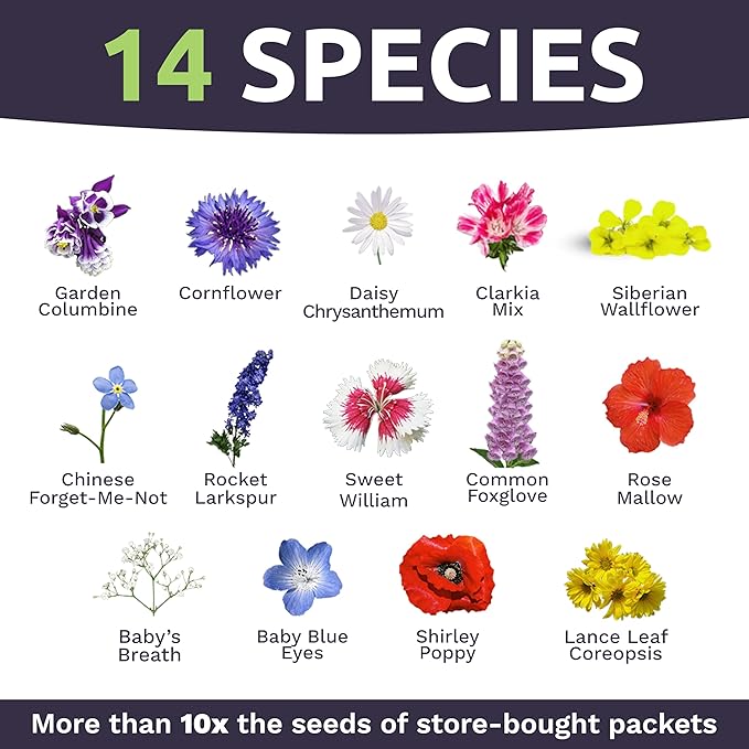 Wildflower Seeds Partial Shade Mix - 1 Ounce Over 7,000 Open Pollinated Annual and Perennial Seeds