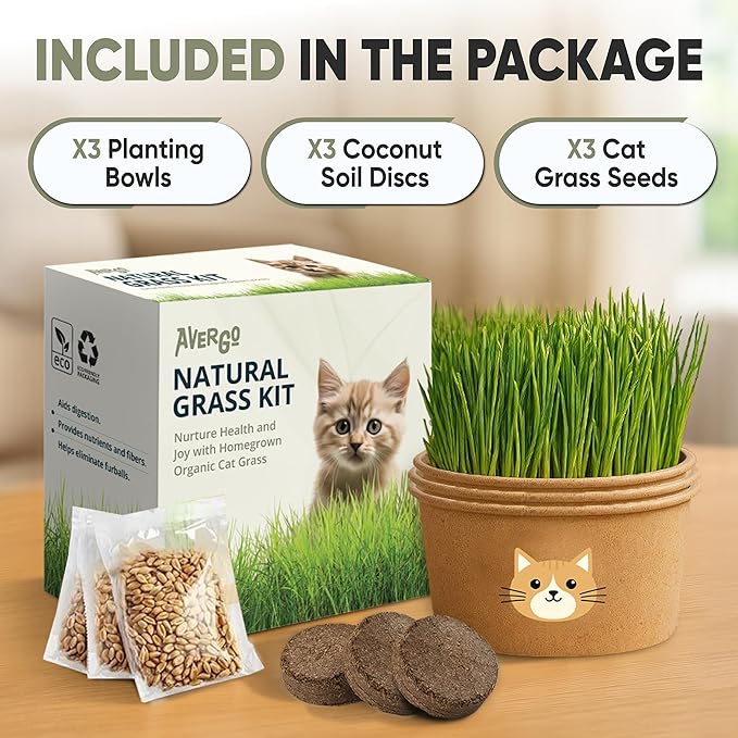 Cat Grass Kit for Indoor Cats – x3 Seed Packets | Cat Grass Seeds with Recyclable Planter & Coconut Coir Expanding Soil Discs – Wheatgrass Grass
