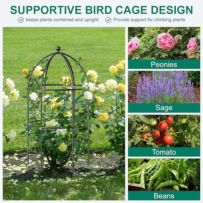DoCred 3 Pack Plant Support, Plant Supports for Peonies Large Sturdy Grow-Through Steel Flower Support Trellis and Garden Decor | Best to Support Peonies, Baptisia, Sedum, Black