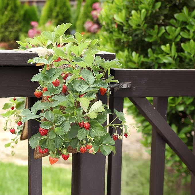 HANG & GROW Burlap Saddle Bag Planter for Outdoor Plants Vertical Flower Saddle for Easy Outside Garden Decoration Reusable Saddle for Flowers, Strawberry, Vegetables and Herbs,1 Bag with 6 Holes