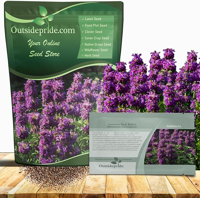 Outsidepride Lemon Bee Balm Seeds - 1 lb. Annual, Easy to Grow & Pollinator Friendly Monarda Citriodora Flower Seeds for Planting Fragrant Lavender Pink Blooms, Ideal for Teas & Potpourri