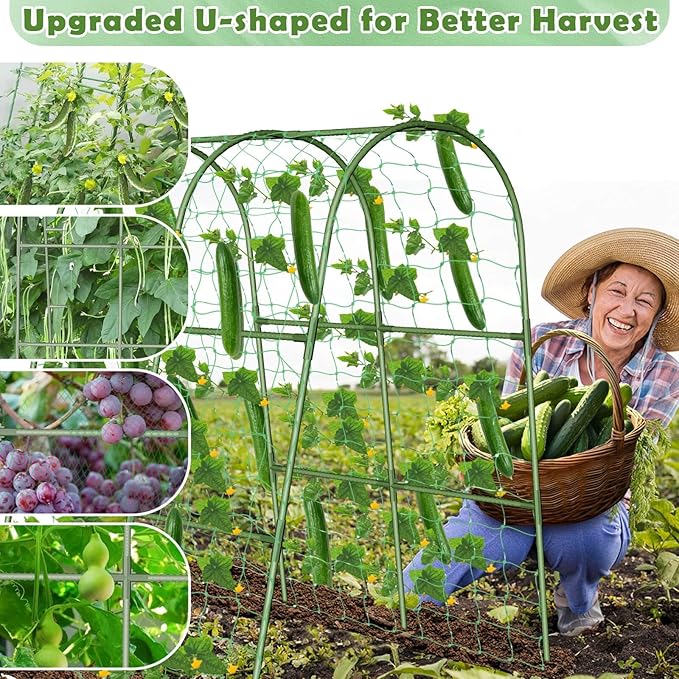 Cucumber Trellis for Raised Bed, Metal Garden Arch Trellis for Outdoor Climbing Plants, Plant Support for Tomato, Bean, Pea, Grape Small