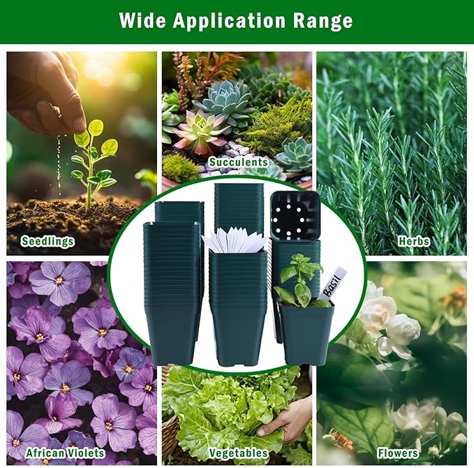 June Fox Small Seedling Pots 4 Inch, 100 Pcs Square Plant Pots Bulk, Plastic Nursery Pots with Drain Holes for Seedlings, Succulents, Cuttings (Green)