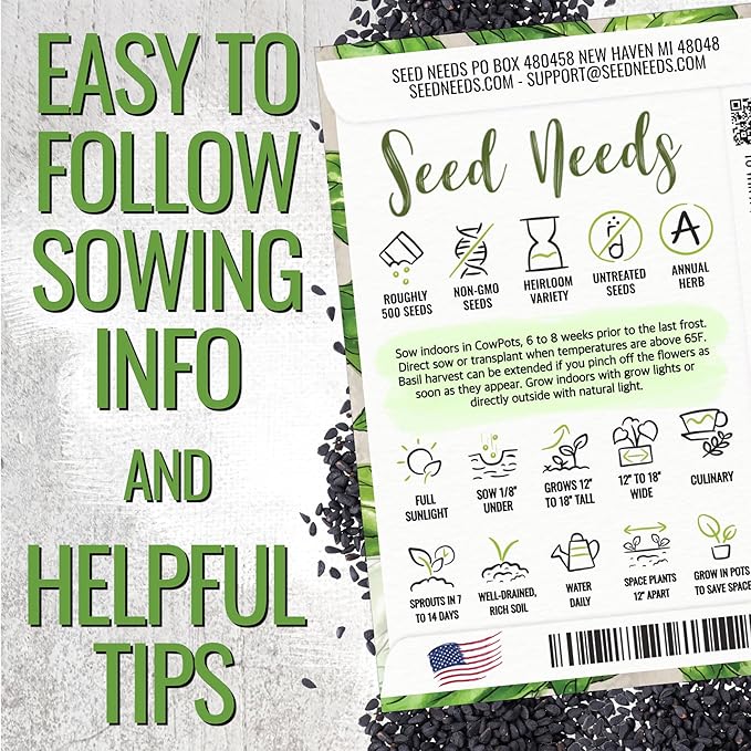 Seed Needs Basil Seeds for Planting Italian Large Leaf Herbs - Non-GMO Heirloom & Untreated - Grow an Indoor or Outdoor Home Grown Herb Garden (2 Packs)