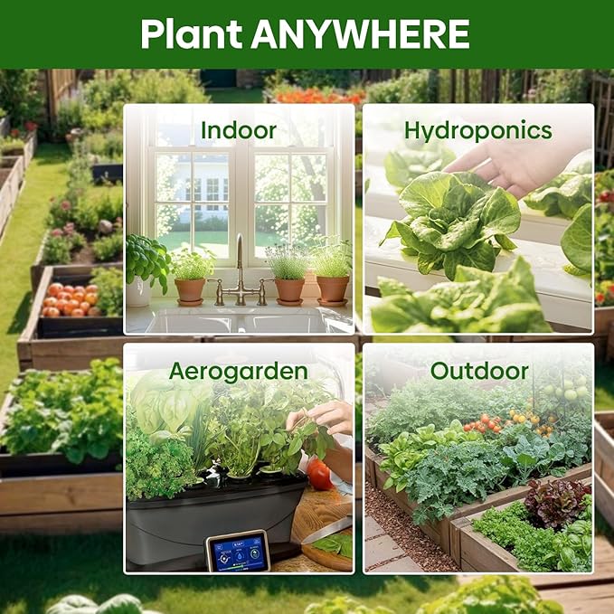 Groundio Lettuce Seeds, 5 Varieties Salad Greens Seeds, Non-GMO Heirloom Seeds for Planting Outdoor, Indoor or Hydroponic - Buttercrunch Lettuce, Romaine, Arugula, Kale and Spinach