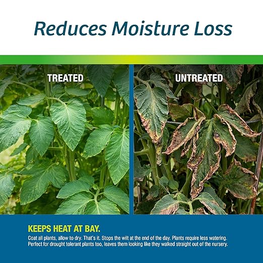 Wilt-Pruf® Drought Guard Spray | Organic Plant Protector | Shields Against Drought and Moisture Loss (32 oz)