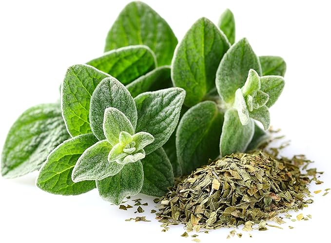 Greek Oregano Herb Seeds for Planting, 2500+ Seeds Per Packet, (Isla's Garden Seeds), Non GMO & Heirloom Seeds, Botanical Name: Origanum vulgare, Great Herb Garden Gift
