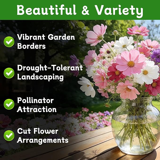 LUOJIBIE Cosmos Seeds, 4,500+ Cosmos Flower Seeds for 2026, Wildflower Seeds for Planting Outdoor Garden, Crazy Blend Mix Color, No Filler, 1.5 Oz Packet, Easy to Grow