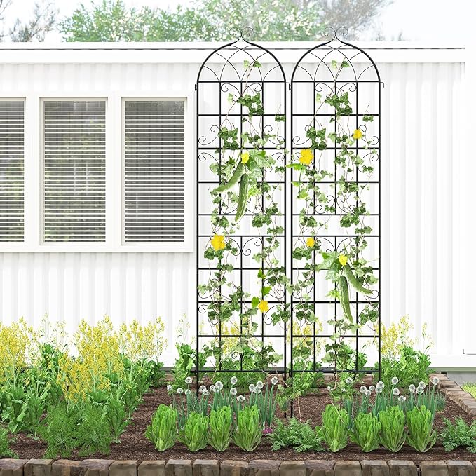 Giantex 4 Packs 86"x20" Metal Garden Trellis for Outdoor Climbing Plants, Heavy-Duty Plant Support for Vine Rose Vegetable Flower, Rustproof Black Metal Coating Patio Trellis Arch Decorative Fence