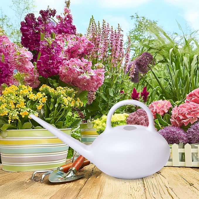 Plant Watering Can - for Indoor Plant Garden - 1/4 Gallon - White