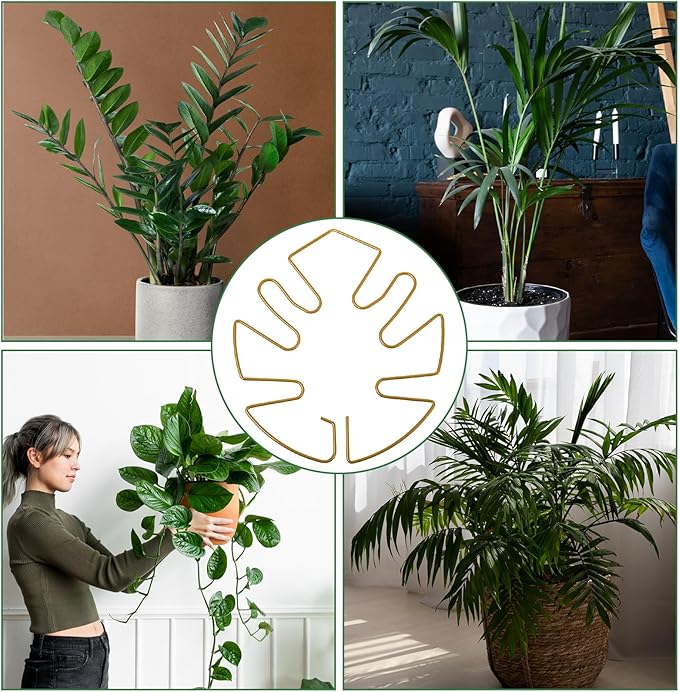 5 PCS Iron Monstera Plant Stabilizer, Metal Monstera Plant Stabilizer for Indoor Plants, Plants Stem Holder for Thriving Growth Indoor Plants(Gold)