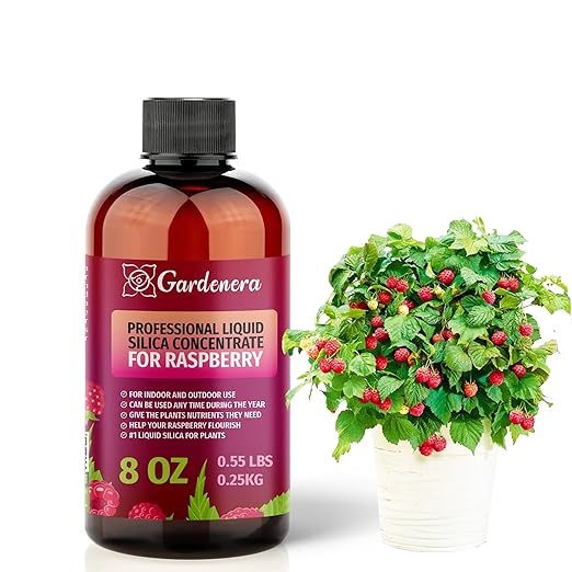 𝐁𝐄𝐒𝐓𝐒𝐄𝐋𝐋𝐄𝐑 Liquid Silica Plant Supplement - 8oz - Raspberry Plants Liquid Silica Boost Fertilizer - Stronger Stems & Healthy Leaves for Indoor & Outdoor Raspberry Plants (Makes 45 Gallons)