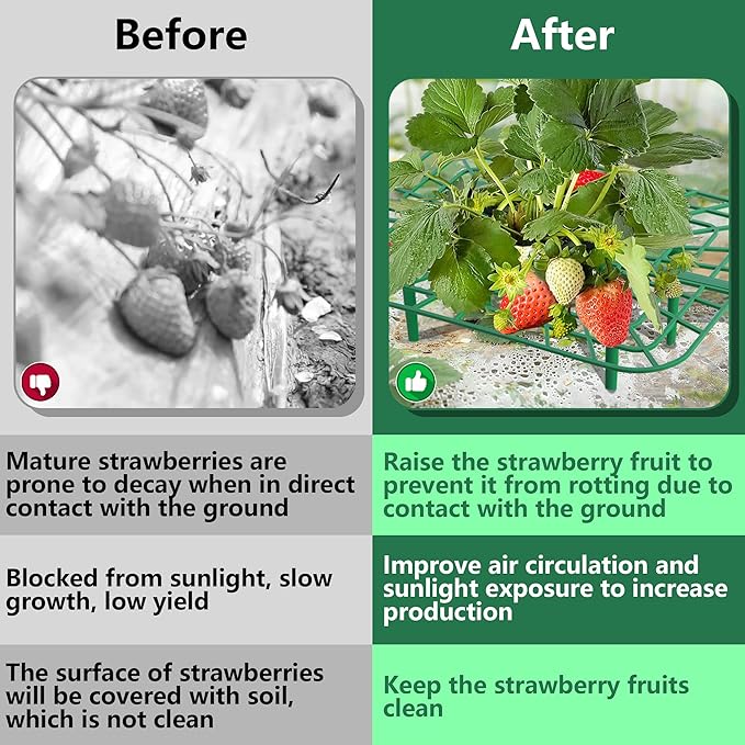 Iceyyyy 12 Packs Square Strawberry Supports-Strawberry Growing Racks- Plant Support Strawberry Stand Holder Growing Frame Keep Berries Clean (Square 12PCS)