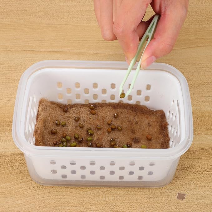 Germination Trays Small Seedling Pots for Plant Nursery with Drainage Holes, Soilless Sprouting Planters 2pcs, Greenhouse Accessories for Indoor Seed Starters