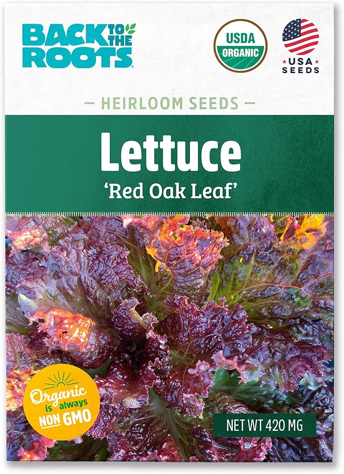 Back to The Roots 100% Organic Seed Packet - Lettuce 'Red Oak Leaf' 420mg