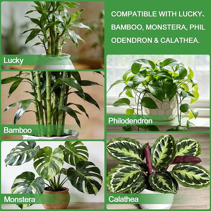 Pure Natural Potting Soil for Lucky Bamboo Plants 2qt- Superior Drainage & Breathability, Ideal Indoor Plant Soil