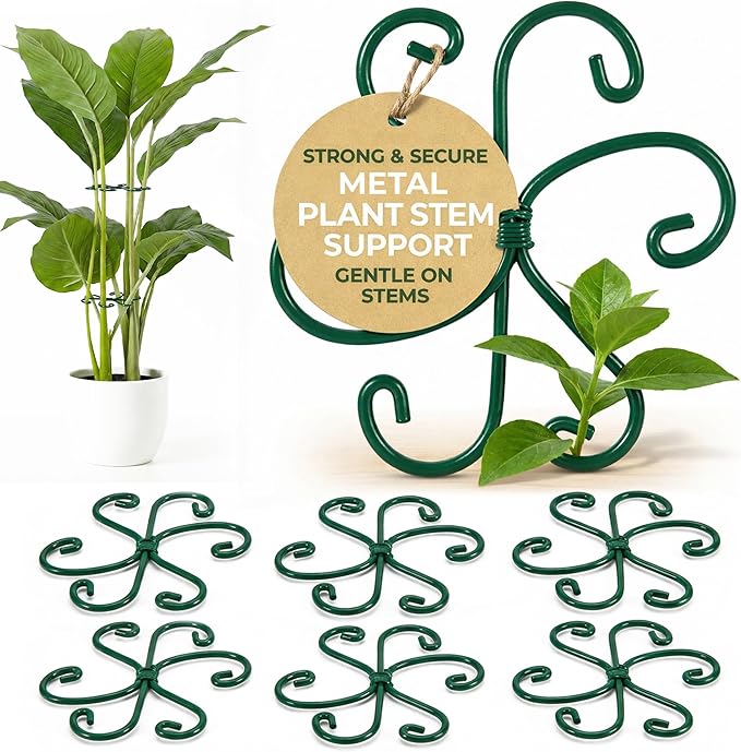 6 Pack Metal Plant Stem Supports for Indoor Plants (Green) - Houseplant Climbing Stem Supports and Stabilizer for Outdoor Plants
