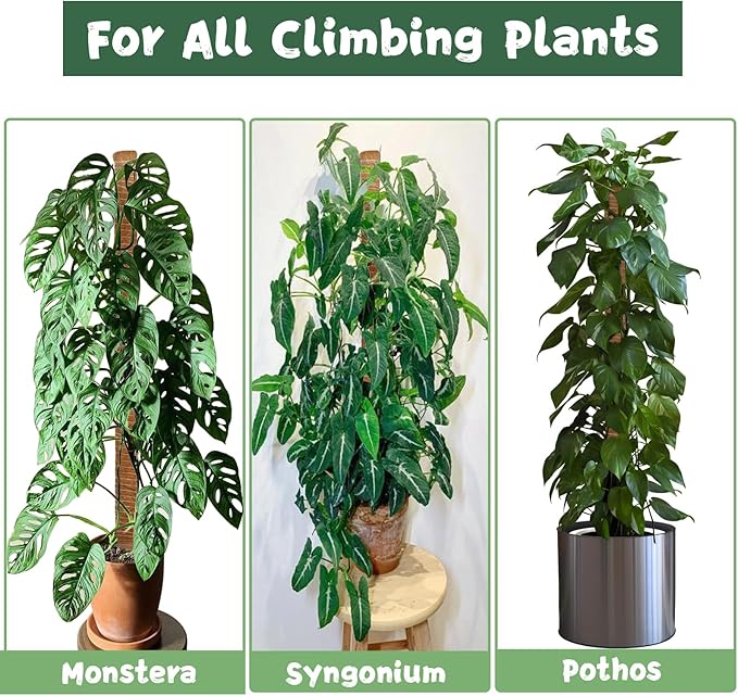 1 Pack 63Inch Bendable Tall Moss Pole for Monstera, 160cm Plant Support Moss Sticks Stakes for Climbing Indoor Plants, Pothos & Philodendron - Coir/Coco Plant Trellis for Potted Climbers & Houseplants