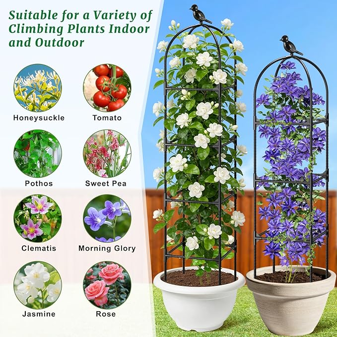 Fabulas Garden Obelisk Trellis for Climbing Plants Outdoor, 6 Ft Rustproof Plastic Coated Metal Vine Plant Trellis Support for Pots, Wisteria, Morning Glory, Clematis, Jasmine, Rose, Tomato, 2 Pack