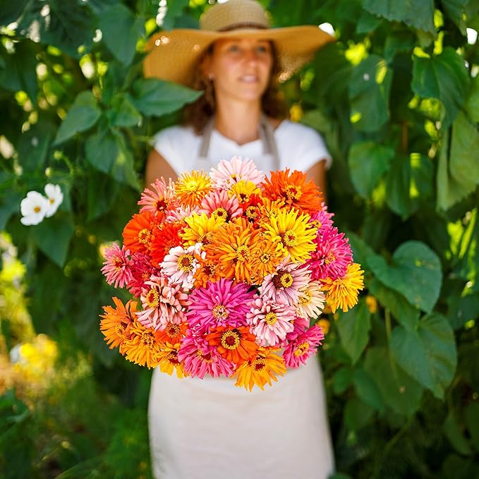 Eden Brothers Zinnia Seeds - Burpeeana Giants Mix, Non-GMO Seeds for Planting, 1 lb | Low-Maintenance Flower Seeds, Plant During Spring, Zones 3, 4, 5, 6, 7, 8, 9, 10