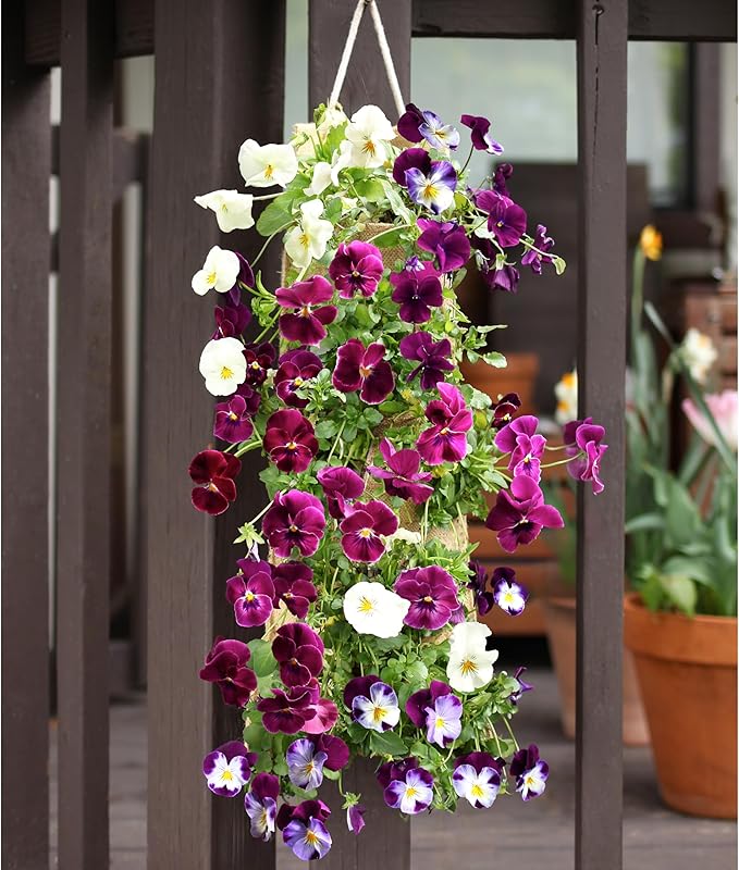 HANG & GROW Burlap Saddle Bag Planter for Outdoor Plants Vertical Flower for Easy Outside Garden Decoration Reusable Hanging for Flowers, Strawberry, Vegetables and Herbs, 1 Bag with 10 Holes