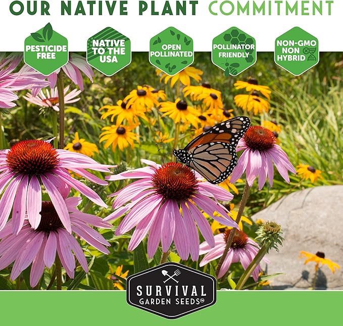 Survival Garden Seeds - Victoria Blue Sage Seed for Planting - 5 Packets with Instructions to Plant and Grow Mealycup Sage or Salvia Farinacea in Your Home Vegetable Garden - Non-GMO Heirloom Variety