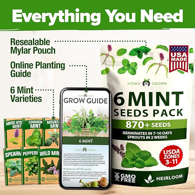 HOME GROWN Mint Seeds Variety Pack - 870+ Heirloom Non-GMO USA Peppermint, Spearmint & More - Herb Seeds for Planting Indoor Outdoor Garden - Fresh Mint for Tea & Cooking
