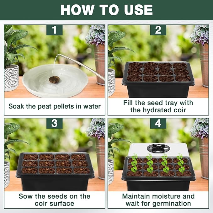 ZeeDix 10 Set Seed Starter Tray Kits, 10 Pack Seed Trays with 120 Pack Coco Coir Pellets, Adjustable Humidity Germination Tray with Dome Lids for Indoor Plants, Mini Greenhouse for Vegetables Garden