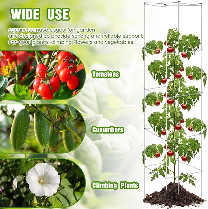 Hicarer 16 Pack Square Tomato Cage Heavy Duty Tomato Cages for Garden Vegetable Plant Trellis Stakes Plant Support Stake Tower for Climbing Vegetables Plants Flowers Fruit (11.5 x 56 Inches,Silver)