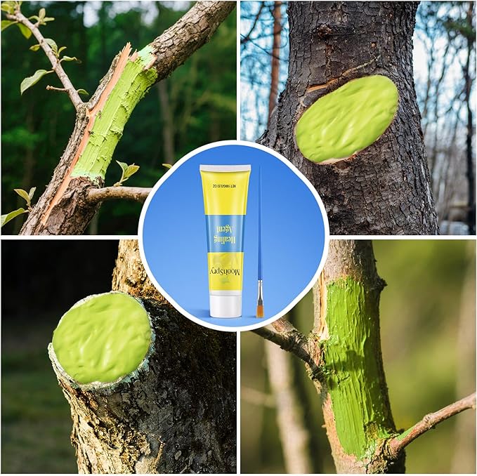 Tree Wound Pruning Sealer, Bonsai Wound Sealer Healing Paste, 100g Plant Cutting Dressing with Brush, Tree Grafting Supplies, Bonsai Cut Paste, Quick Recovery of Plants