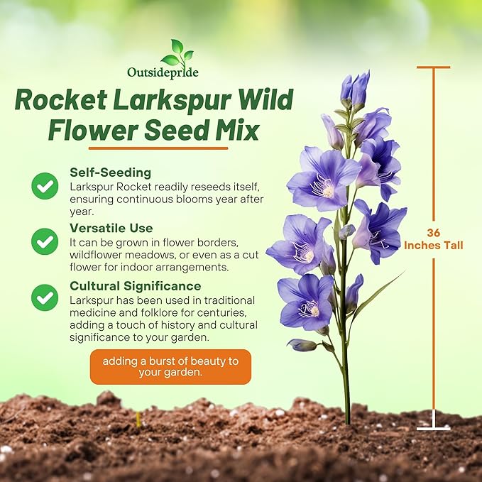 Outsidepride Mixed Rocket Larkspur Seeds for Planting Outdoors - 1/4 Lb. Annual, Self-Seeding, Heat & Drought Tolerant Wildflower Seeds for Cut Flower Arrangements & Pollinator Gardens