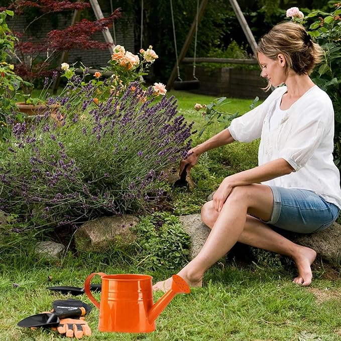 Tinplate Watering Kettle, 1L Metal Garden Watering Can, Vintage Sprinkling Can for Flowers, Indoor & Outdoor Plants, Lawn & Garden Irrigation Tool (Orange)
