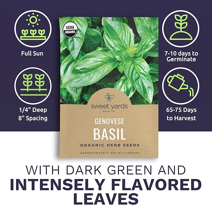 Organic Basil Seeds ‘Genovese’ – Two Seed Packets! – Over 496 Open Pollinated Non-GMO Italian Seeds – Sweet Yards Seed Co.