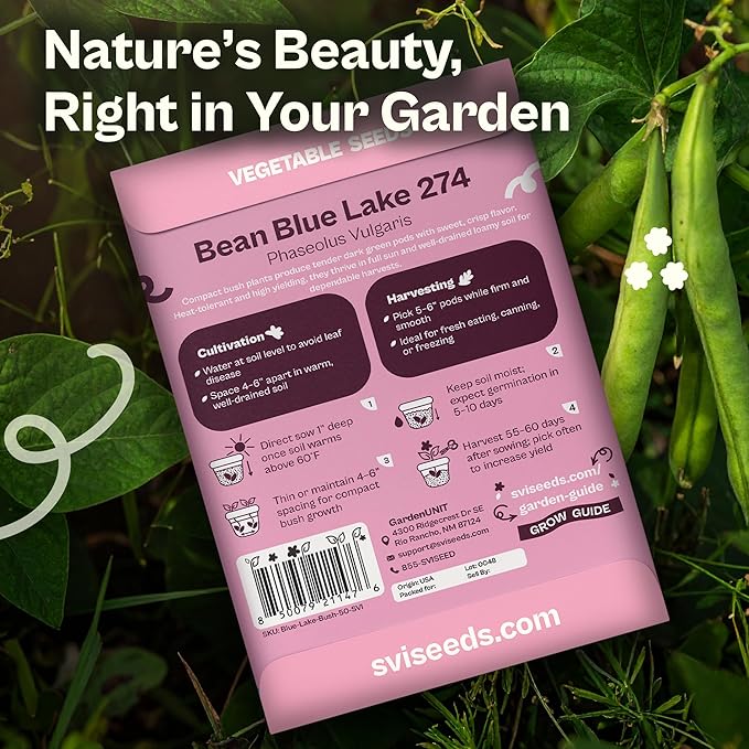 SVI 50 Blue Lake 274 Bush Green Bean Seeds (Phaseolus vulgaris) – Bush Beans Seed Packets, String Beans – Heirloom Vegetable Seeds for Outdoors, Home Garden & Containers