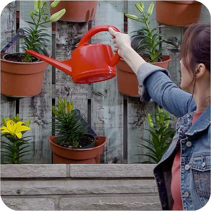 Consolidated Plastics Durable Swiss Watering Can with UV Protection, Ergonomic Handle for Indoor/Outdoor Gardening, Made in Switzerland (2 Liter) (Red)