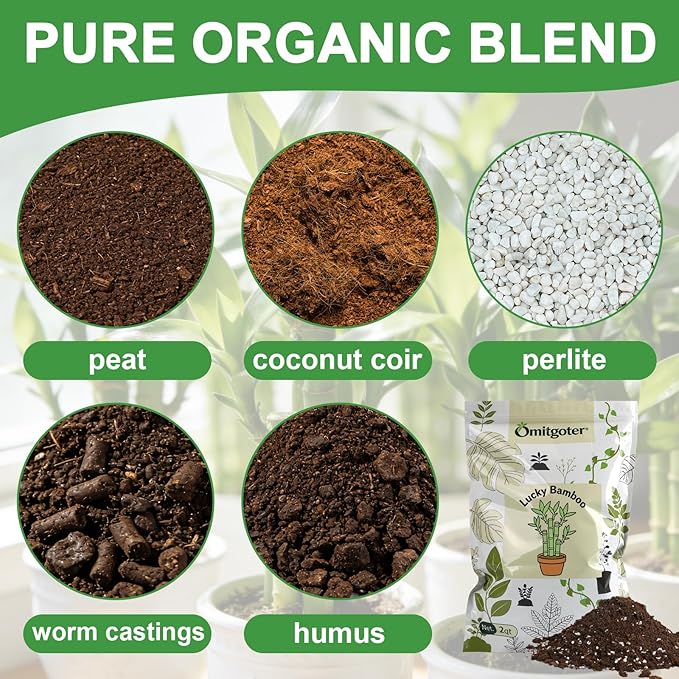 Pure Natural Potting Soil for Lucky Bamboo Plants 2qt- Superior Drainage & Breathability, Ideal Indoor Plant Soil