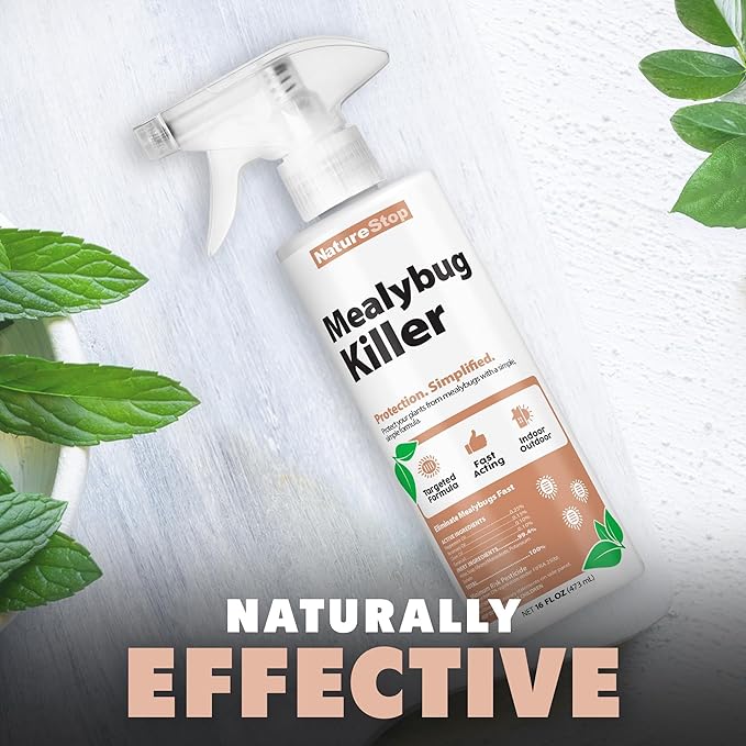 Mealy Bug Killer 16oz