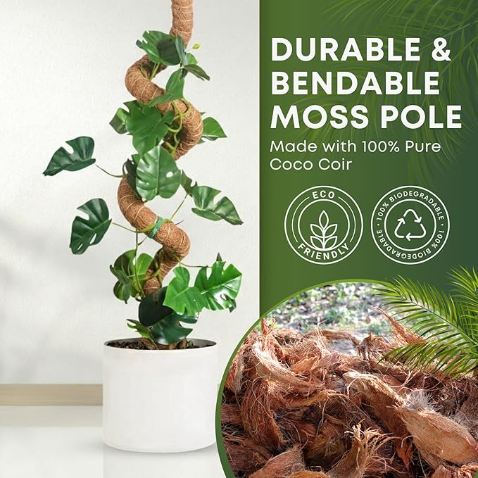 Moss Pole Monstera Plant Support | 60 Inch Plant Stakes for Indoor Plants | Coconut Palm Fiber Moss Poles for Climbing Plants | Handmade Plant Sticks Support Tall Monstera, Pothos & More