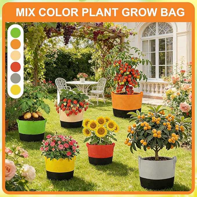 12 Pack Mixed Size Grow Bags, Colorful Fabric Plant Pots with Handles Nonwoven Potato Grow Bags Plant Growing Containers for Garden Fruit Vegetable Flower Indoor Outdoor (5/7/10 Gal)