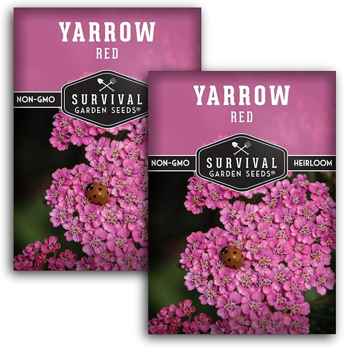 Red or Pink Yarrow Seeds for Planting – Heirloom Medicinal Herb & Perennial Flower Seeds, Pollinator Friendly Blooms for Cottage & Wildflower Gardens - Survival Garden Seeds (2 Packs)