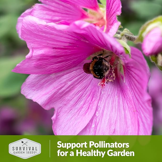 Survival Garden Seeds - Rose Mallow Seed for Planting - Packet with Instructions to Plant and Grow Bright Pink Native Wildflower in Your Home Vegetable Garden - Non-GMO Heirloom Variety - Rose Seeds