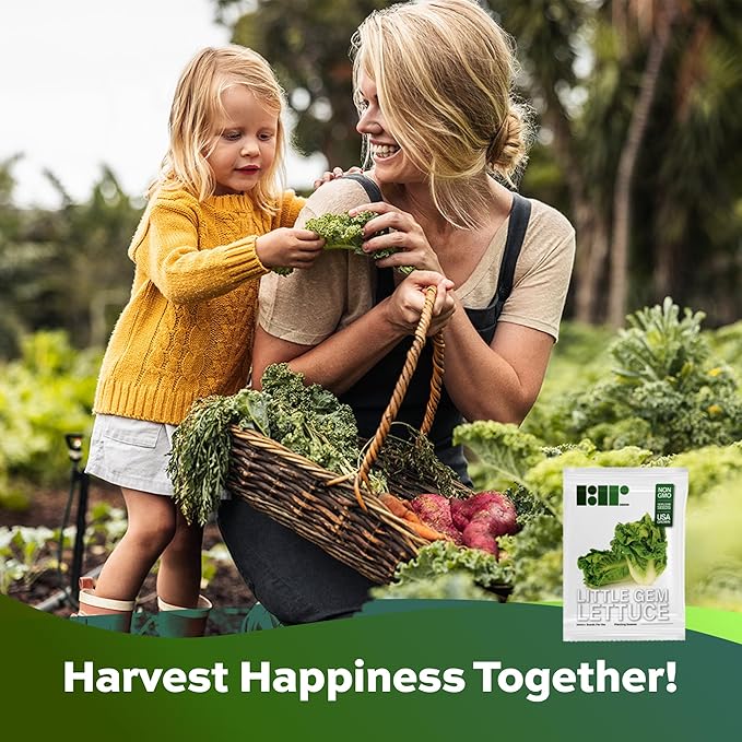1000+ Little Gem Lettuce Seeds - Heirloom Non-GMO USA Grown - Grows Adorable Mini Romaine Lettuce Heads About 6" Tall - Vegetable Seeds for Planting